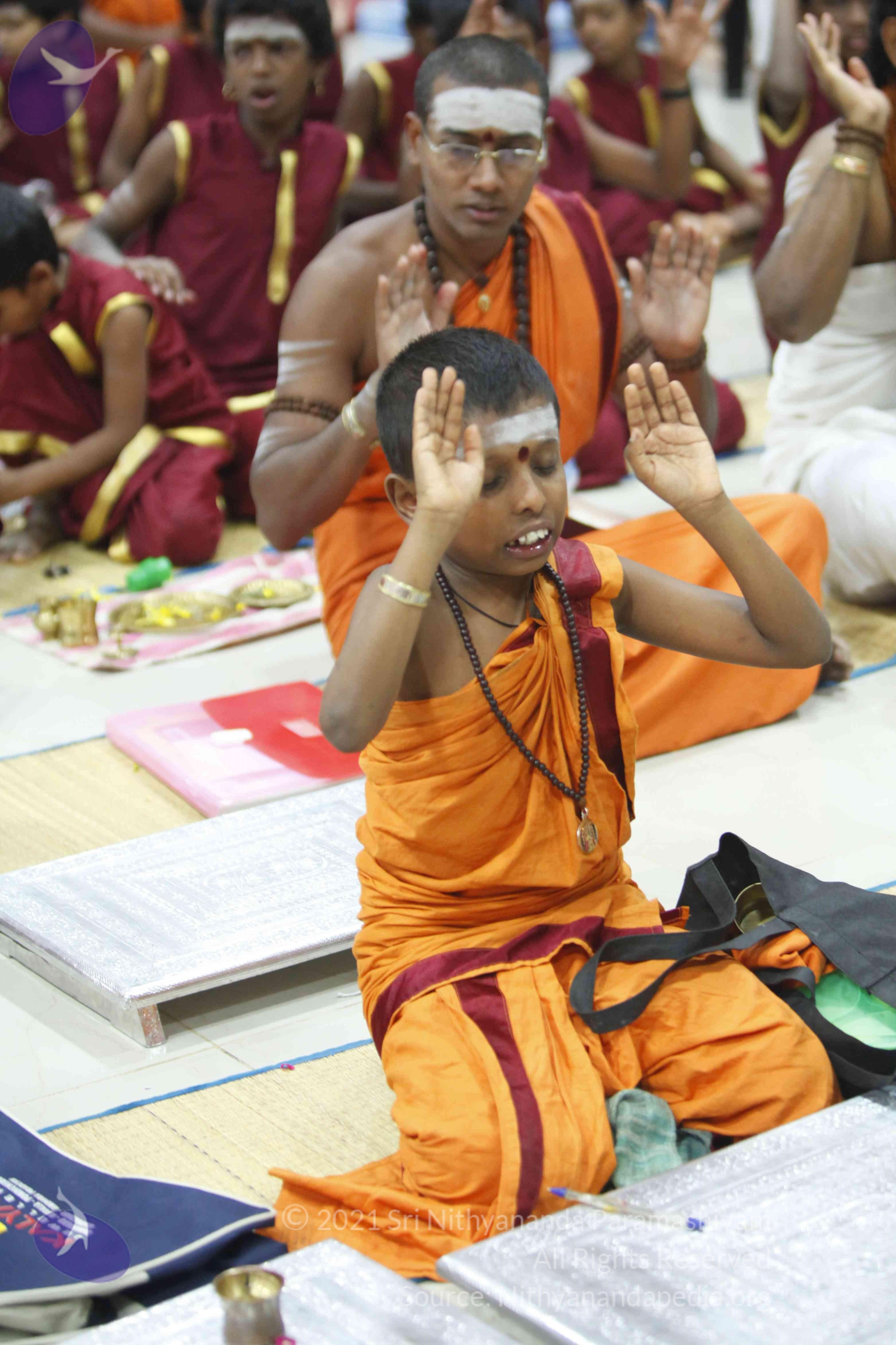 20130528_Photo_1017__MG_1543_CMP_WM Done